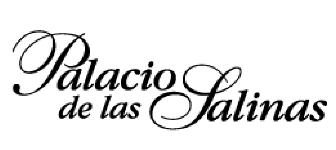 Hotel Balneario Palacio de las Salinas